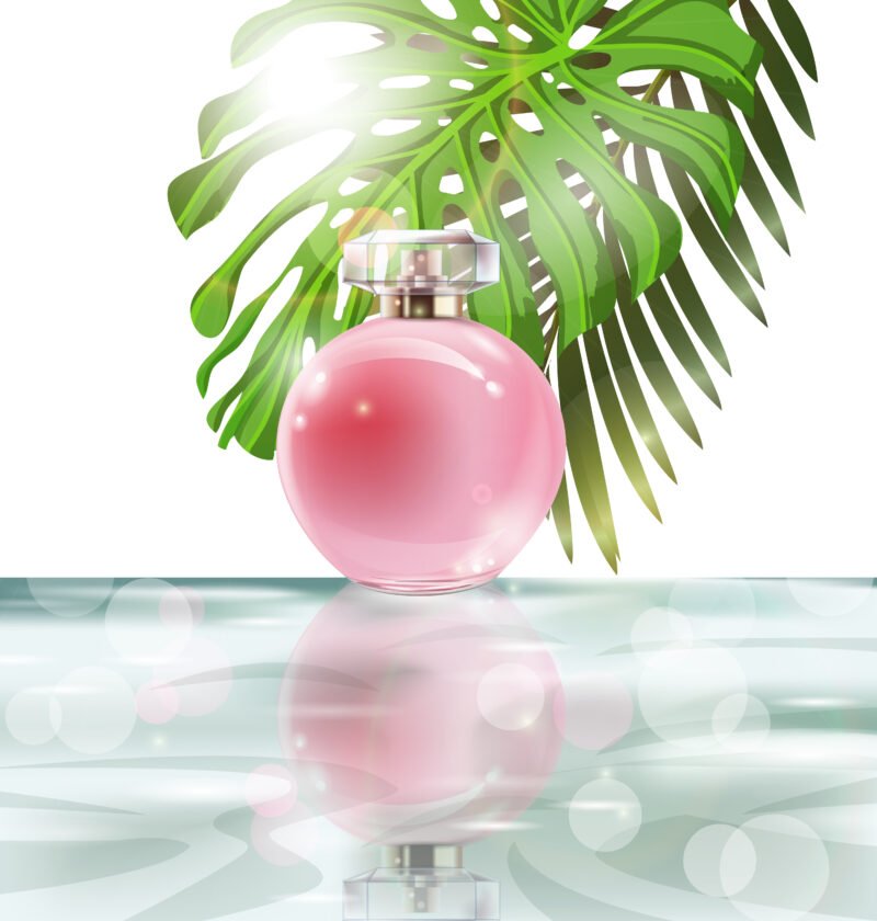 A Perfumed Encounter That Changed History - لقاءٌ مُعطّرٌ غيّر التاريخ - Image 2